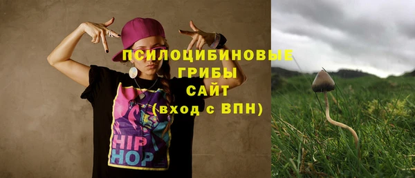индика Нефтегорск