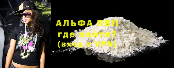 индика Нефтегорск