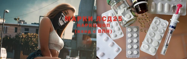 индика Нефтегорск