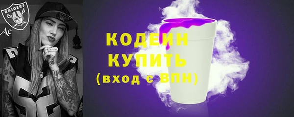 индика Нефтегорск