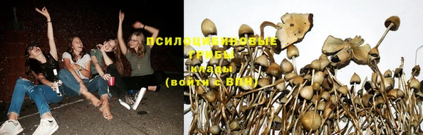 индика Нефтегорск