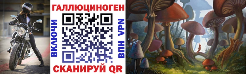 Купить закладки  Новокузнецк  Галлюциногенные грибы GOLDEN TEACHER 