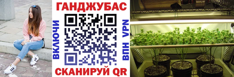 Купить  Новокузнецк  Бошки марихуана семена 